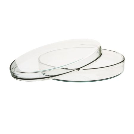 Petri Dish