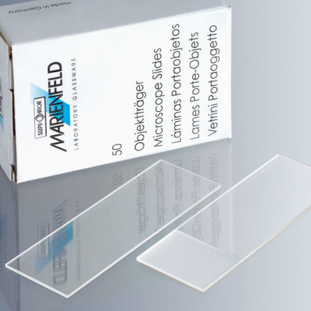 Microscope Slides
