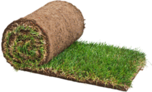 roll of turf