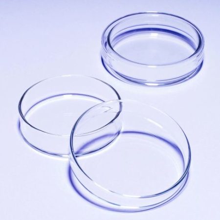 Glass Dishes