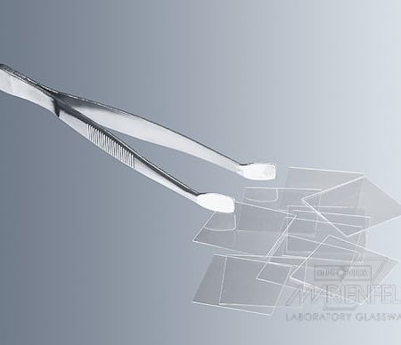 Cover Glass Forceps According to Kuehne