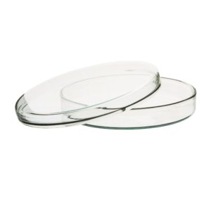 round flat glass dishes