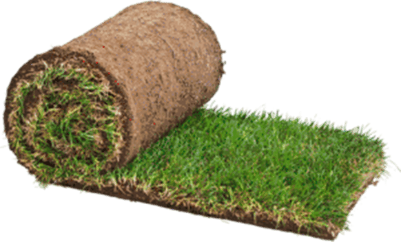 roll of turf